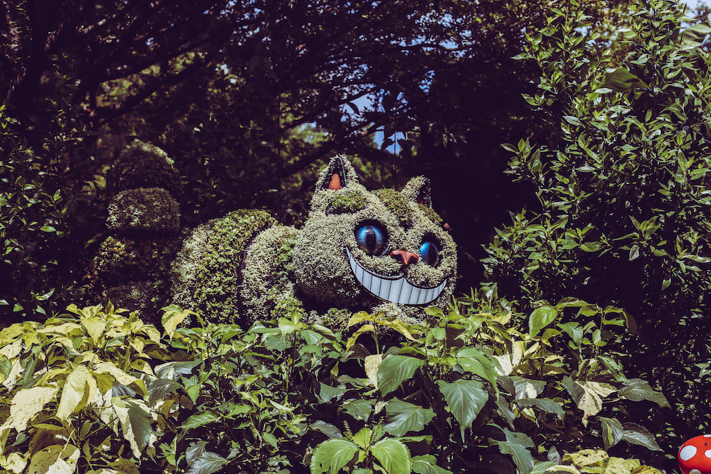 cheshire-cat-8a